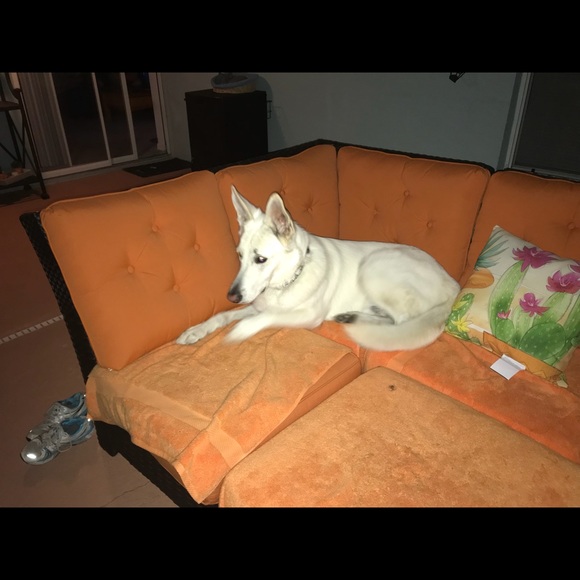 Meet your Posher, Norma - Picture 1 of 1